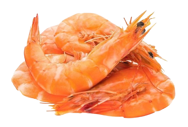 Cooked Prawn -  (熟虾)