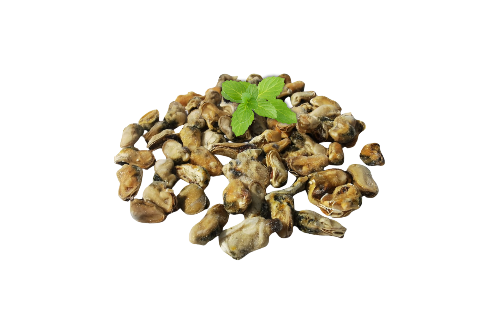 Mussel Meat (贻贝肉)