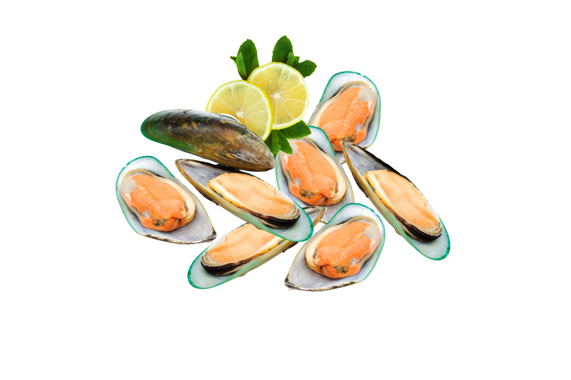 NZ Half Shell Green Mussel(M) - 新西兰半壳青蚝