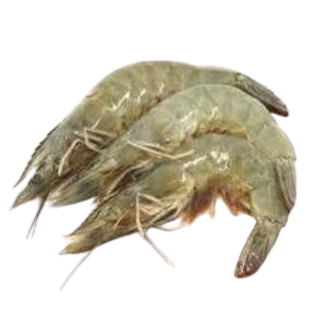 Hoso Vannamei Prawn - 白虾(整只)