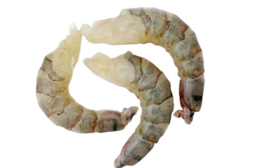 PND Tiger Prawn - 老虎虾(无尾)